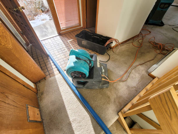 Best Wood Floor Water Damage Restoration in Ridgely, TN